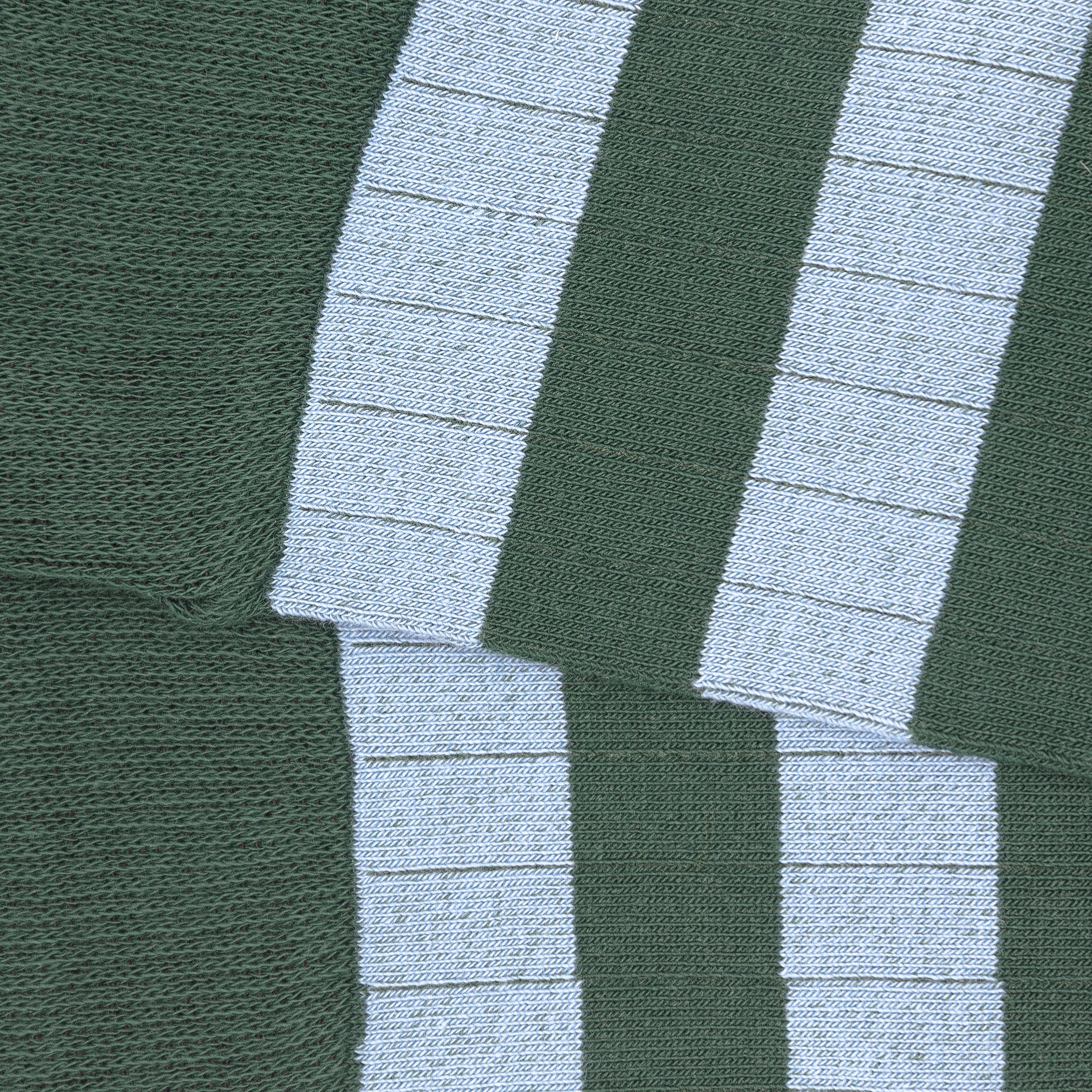 2. RAYAS_ALTA_001_detalle
