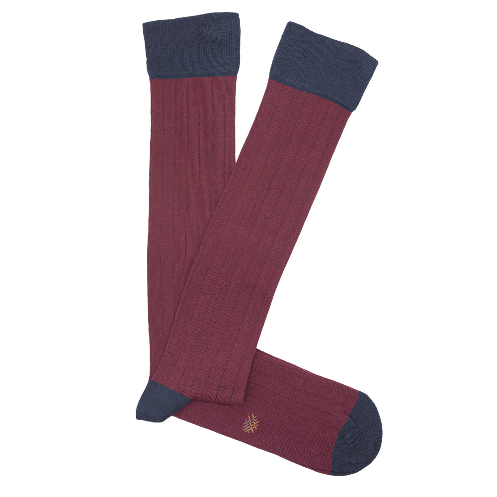 Colección de calcetines de algodón