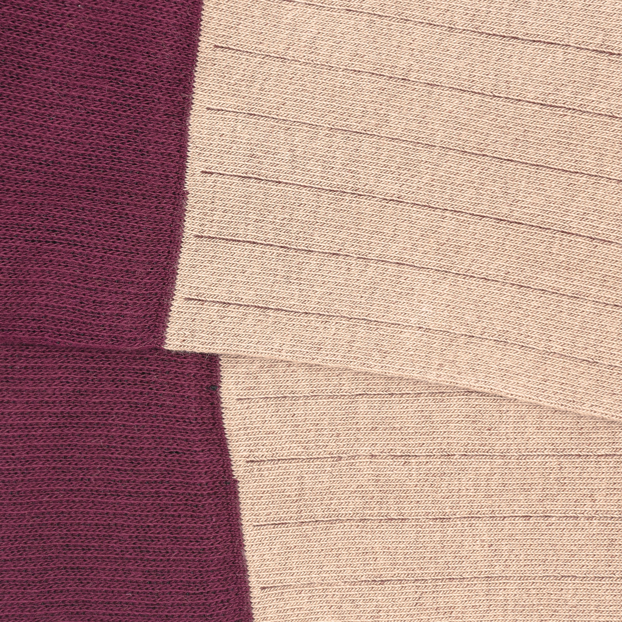 5. CAN_ALTA_003_detalle